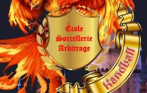 Ecole de Sorcellerie d'Arbitrage