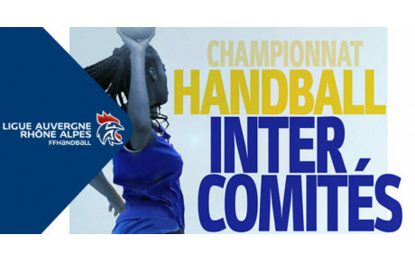 Inter-Comités 2008 : le Rhône à la fête !