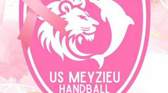 Octobre Rose US Meyzieu HB 2025